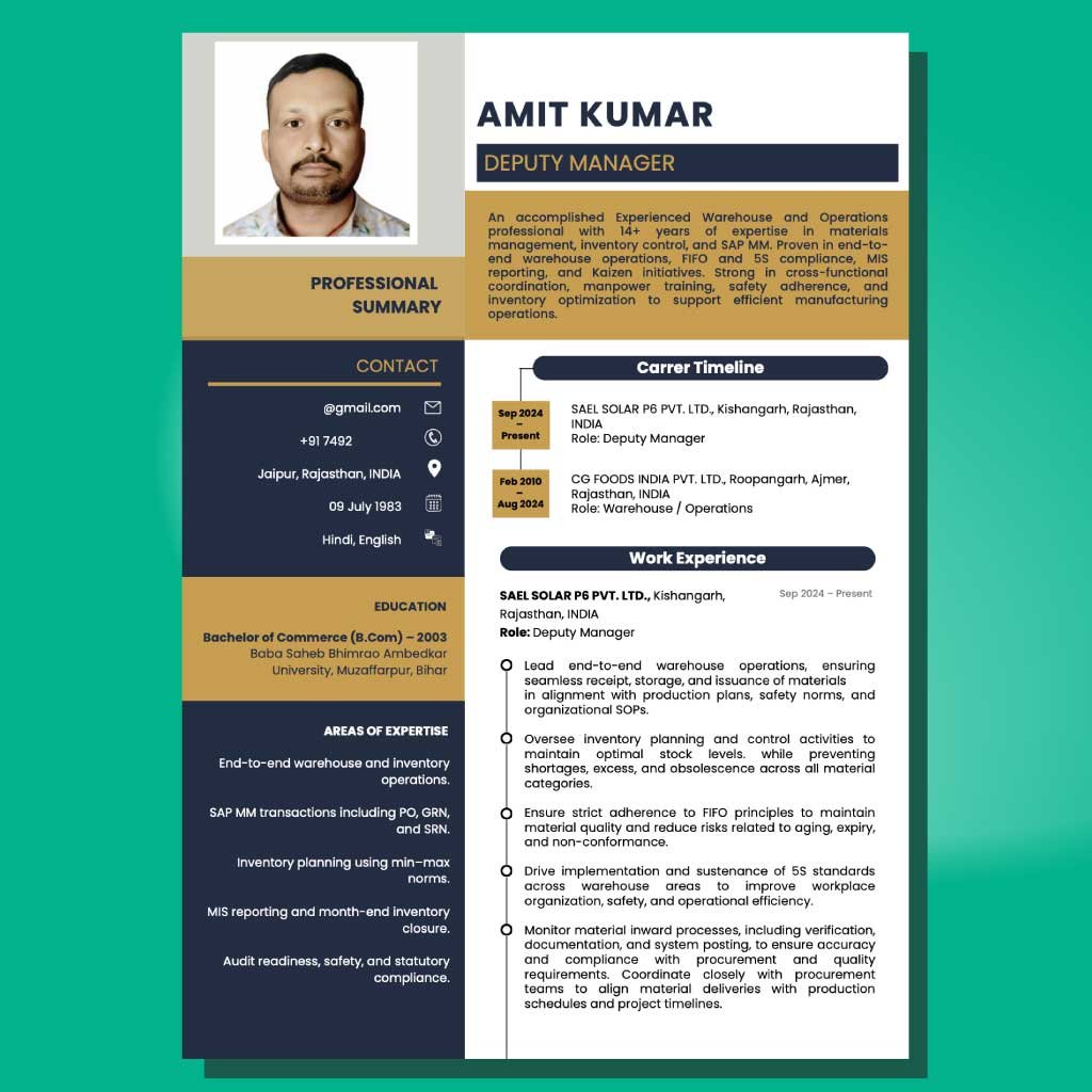 build your resume infographic ATS template 3